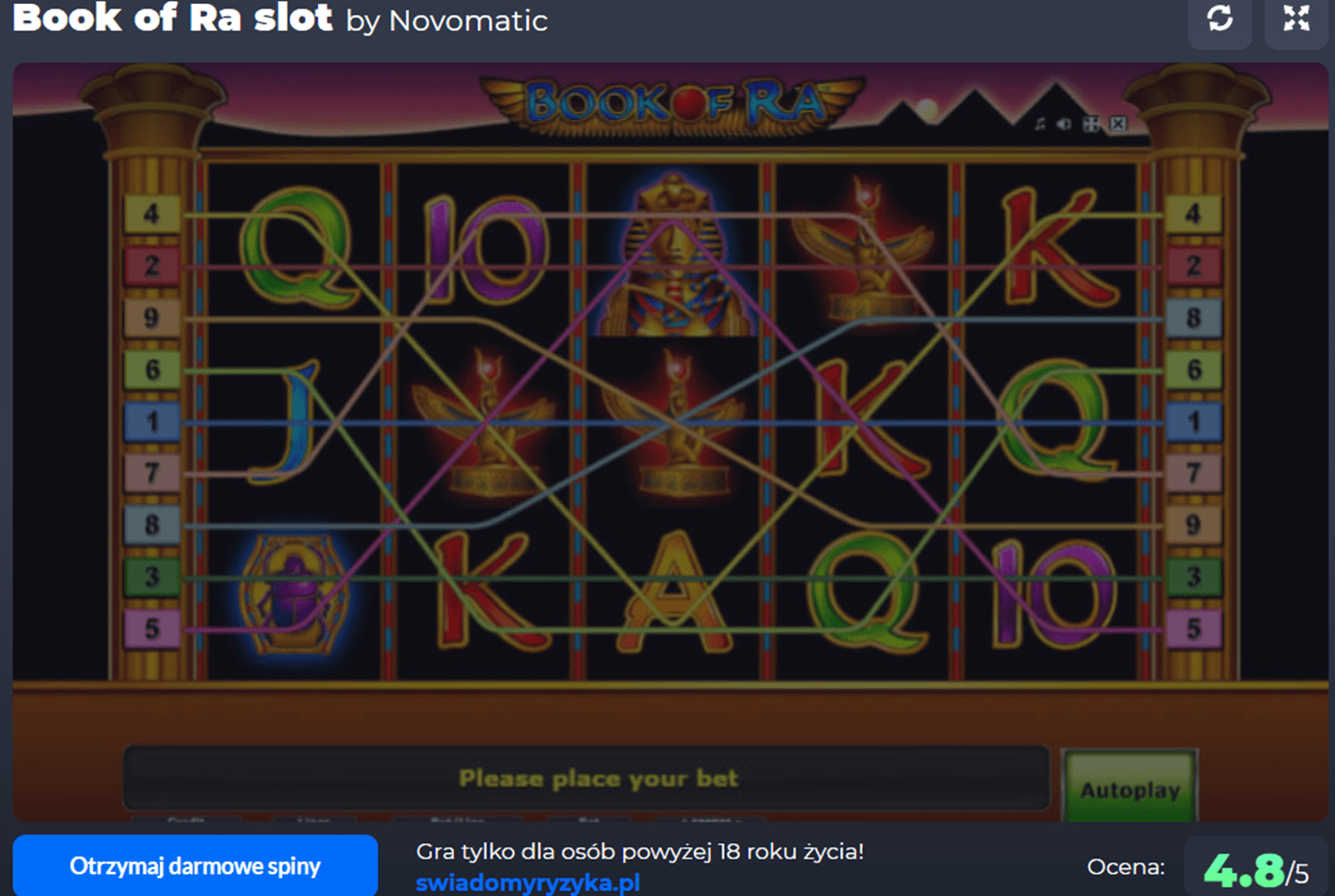 Book of Ra slot screenshot
