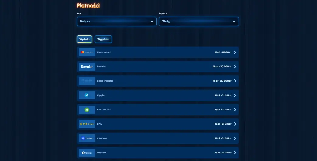 DudeSpin Metody płatności