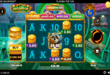 the racaroon screenshot